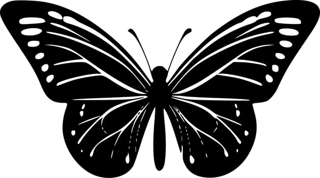 Butterfly, Black and White Vector illustration