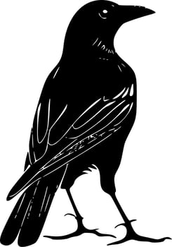 Crow, Black and White Vector illustration