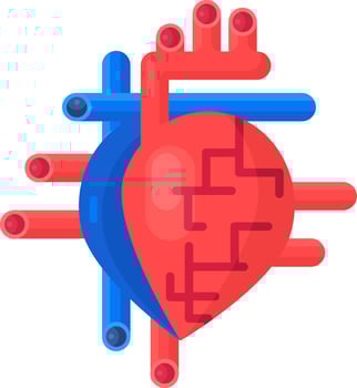 Healthy Heart Organ Arteries Vessels Flat Icon vector