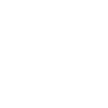 Shadow overlay effect. Soft light and shadows from window. Realistic  Mockup of transparent shadow overlay effect and natural lightning in room interior. PNG. png