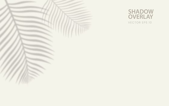 Silhouette Shadow Background of Tree Branch Natural Palm Leaves Falling on Soft Peach Colored Wall. Transparent Blurred Shadow of Morning Sunlight. Free Vector Background. Free Vector.