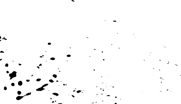 Grunge dots and points texture background. Abstract grainy overlay. PNG graphic illustration with transparent background.