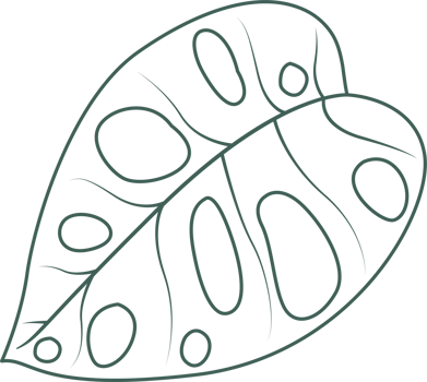 Line art leaf png