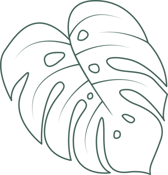 Line art leaf png