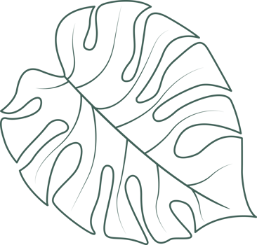Line art leaf png