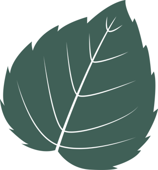 Line art leaf png