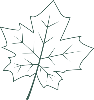 Line art leaf png