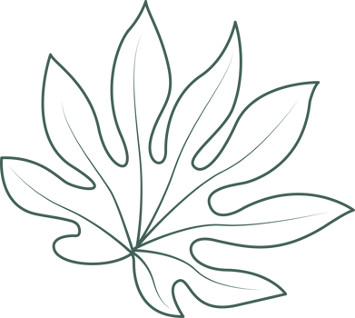 Line art leaf png