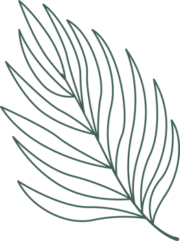 Line art leaf png