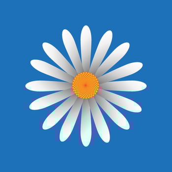 Flower shapes and doodle design elements. Spring or summer flowers and plants. Contemporary modern trendy vector illustration. Colorful simple single daisy flower.