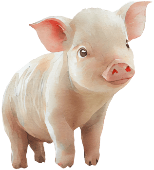 Pig animal watercolor illustration. png