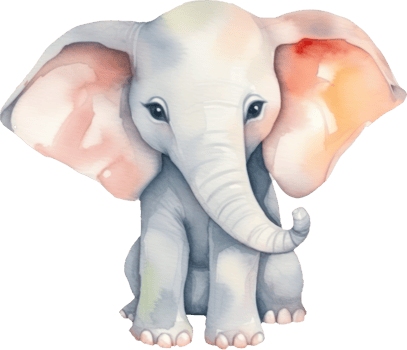 Cute Elephant Watercolor Illustration. png