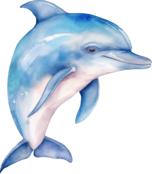 Cute Dolphin Watercolor illustration. png