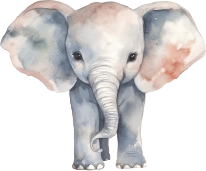 Cute Elephant Watercolor Illustration. png
