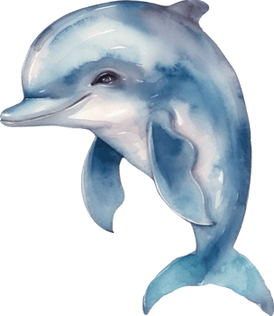 Cute Dolphin Watercolor illustration. png