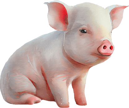 Pig animal watercolor illustration. png