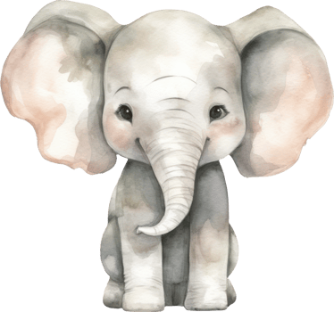Cute Elephant Watercolor Illustration. png
