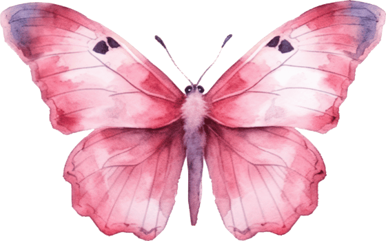 Butterfly Watercolor Illustration. png