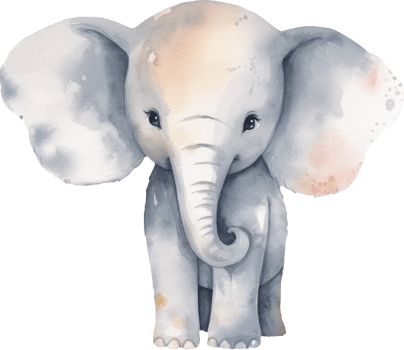 Cute Elephant Watercolor Illustration. png