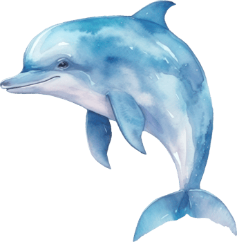 Cute Dolphin Watercolor illustration. png