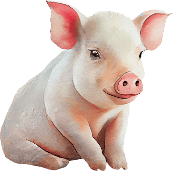 Pig animal watercolor illustration. png
