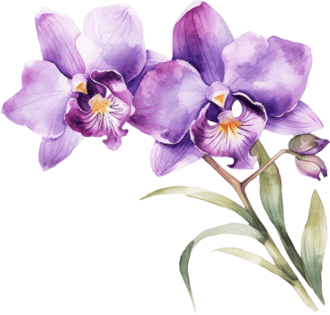 Purple Orchid flower watercolor illustration. png