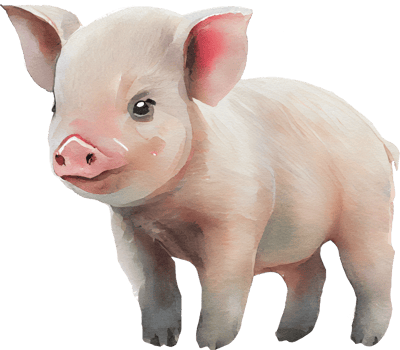 Pig animal watercolor illustration. png