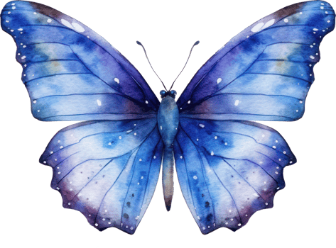 Butterfly Watercolor Illustration. png