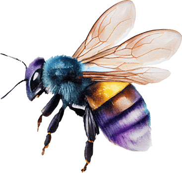 Bee watercolor illustration. png