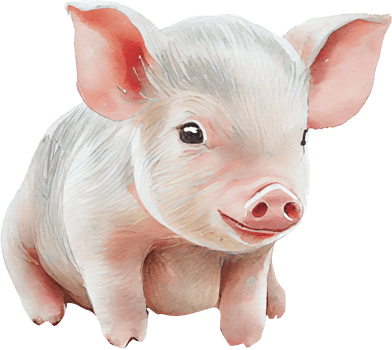 Pig animal watercolor illustration. png