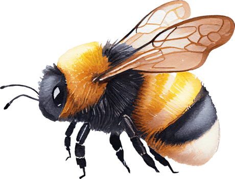 Bee watercolor illustration. png