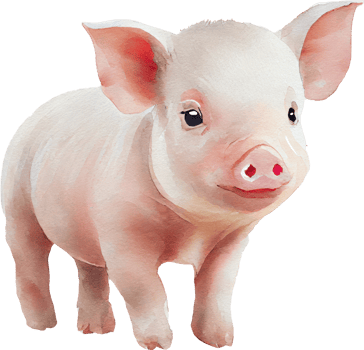 Pig animal watercolor illustration. png