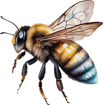 Bee watercolor illustration. png