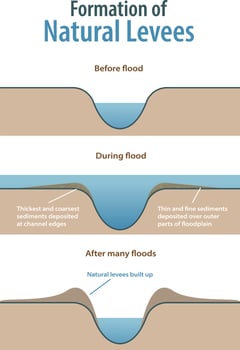 formation of natural levees infographic vector