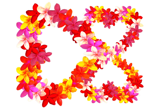 form flower build pattern structure png