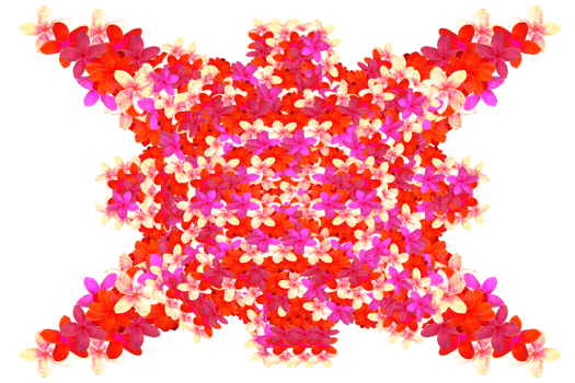 form flower build pattern structure png