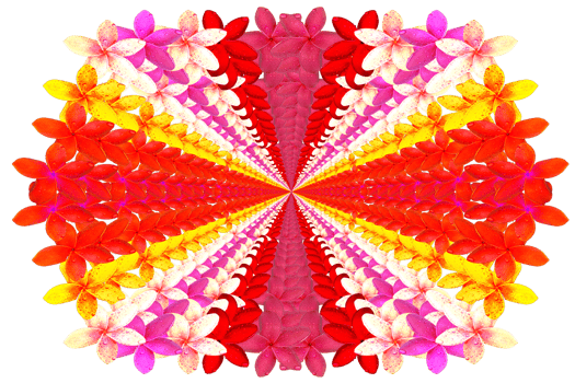 form flower build pattern structure png