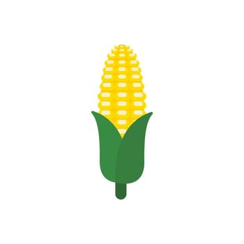 corn flat design vector illustration isolated on white background. organic logo vector organic agriculture corning field corncob ear farm