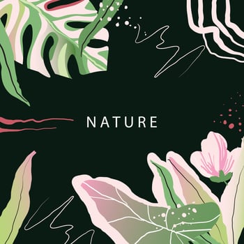 Modern exotic jungle plants illustration templates vector