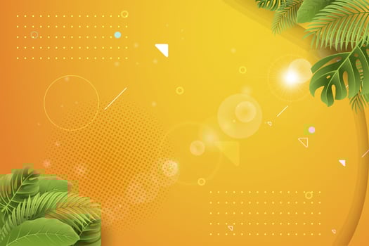 Plant leaves on the blank orange paper frame over the yellow background vector