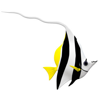 Angel Fish isolated on a Transparent Background png