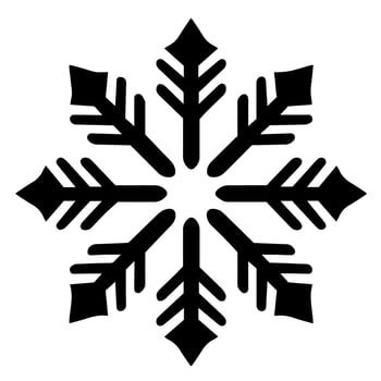 Snowflake vector icon Xmas December decoration