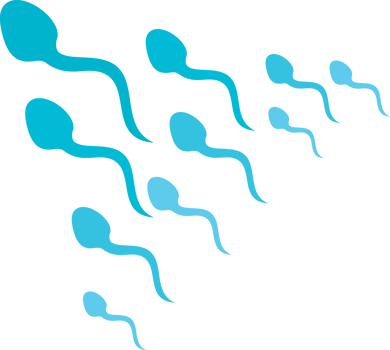 Human Sperms Attack PNG Illustration