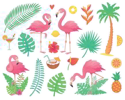 Pink flamingo and tropical plants. Beach palm, african plant leafs, rainforest flower, tropic palms leaf and rosy flamingos vector set