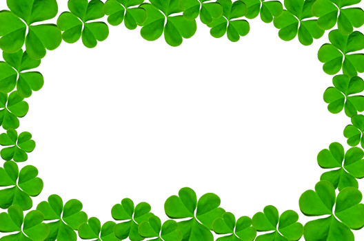 Frame of green leaves and flower. Wallpaper by green leaves and beautiful green leaf. png