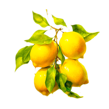 AI  generative yellow lemon illustration png