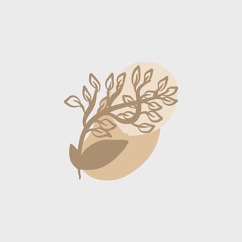 illustration of leaf botanical aesthetic for wedding and decoration vector