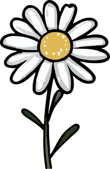chamomile png graphic clipart design