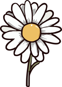 chamomile png graphic clipart design