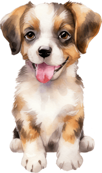 Cute Puppy Dog Watercolor. png